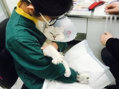 -利又安动物医院··老年病·猫科犬科·中兽医