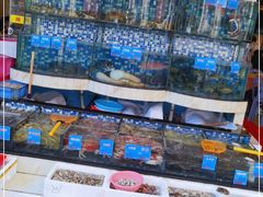 -揭阳钟记小食(福田新村店)