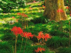 -共青国家森林公园-售票处