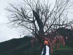 -硗碛藏寨·神木垒景区