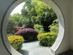 -十八棵（老龙井）御茶园(老龙井店)