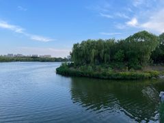 -大兴滨河森林公园