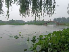 -白洋淀景区