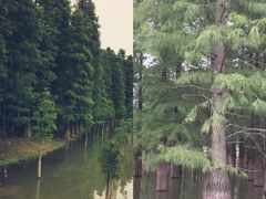 -南京金牛湖风景区