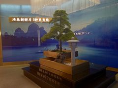 -马家斑.鲜鱼火锅(松湖万科店)