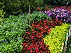 -庐山风景区花径公园