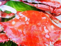 -常家活海鲜小吃(仅一家无分店)