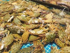 梭子蟹-济南海鲜大市场