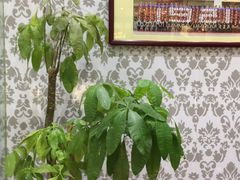 -清真·锦翔炝锅鱼(明德门店)