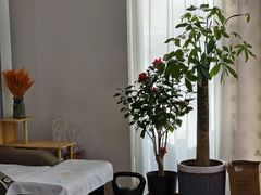 -悦园影院式·足道·养生spa