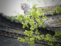 -罔极寺