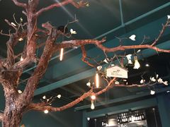 大堂-梧桐树下(云锦世家店)