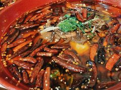 -丰收日(五角场店)