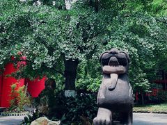 -成都武侯祠博物馆