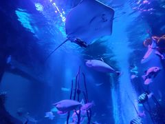 -沈阳海洋探索中心