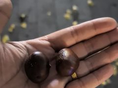 -品忆香炒货工坊(阳阳国际店)