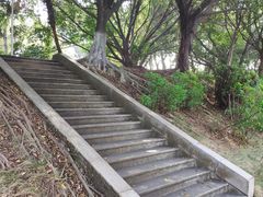 -三水森林公园