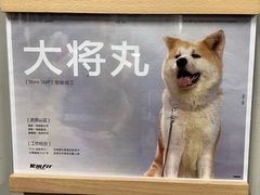 -YCHL Studios健身工作室(市二宫店)