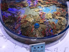 -澜悦港海鲜体验主题餐厅