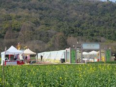 -姐妹面馆(水澄路店)