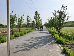 -嘉北郊野公园