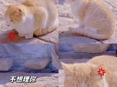 -崂山九水游览区