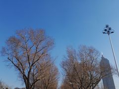 -人民防洪胜利纪念塔