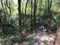 -九曜山