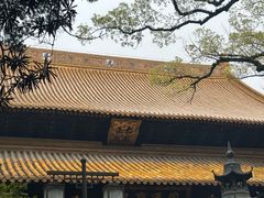 -普陀山慧济禅寺