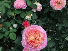 -人民公园(罗湖区)