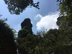 -七仙岭温泉国家森林公园