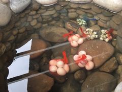 -水底山庄园温泉