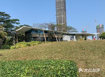 白鹭书吧地处红树林公园茂密森林中