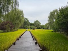 -北坞公园