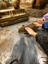 -Zoolung Zoolung动物主题公园(海信广场店)