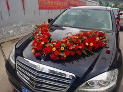 -蚂蚁婚车