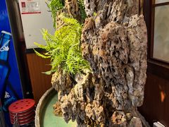 -成老灶火锅鸡(平山店)