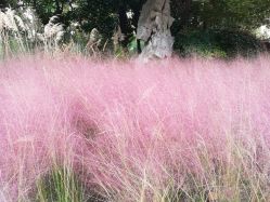-亚太瑜伽普拉提学院