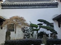 -檀园