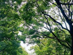 -石湖景区