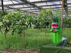 -南宫五洲植物乐园