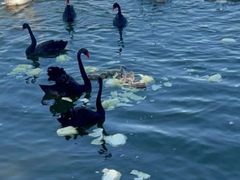 -水上乐园·欢乐世界