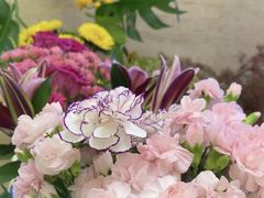 -THE hood开新里(御桥路店)