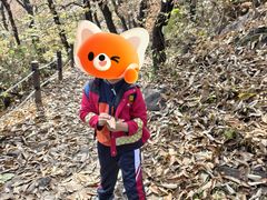 -阳台山自然风景区