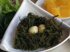 翡翠柳芽菜-川西坝子(老军营店)