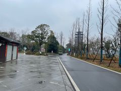 -洋湖国家湿地公园