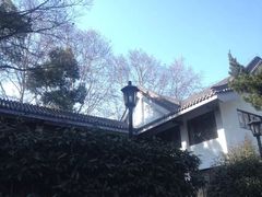 -南京十朝历史文化园-停车场