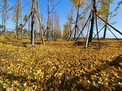 -汉长安城未央宫国家考古遗址公园