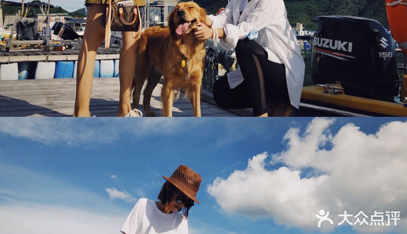 2020最后一天写给汪星人