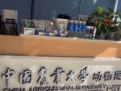 -中国农业大学动物医院